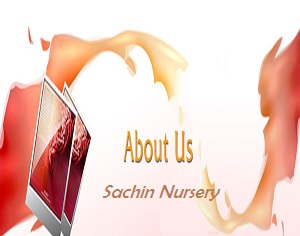 about Sachin Nursery